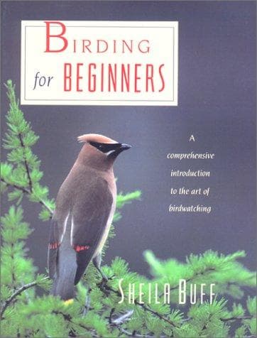 Cover image for Birding for beginners