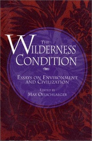 Cover image for The Wilderness Condition