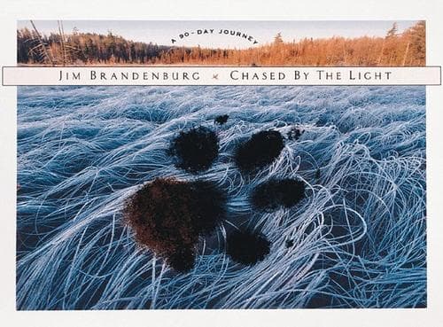 Cover image for Chased by the light