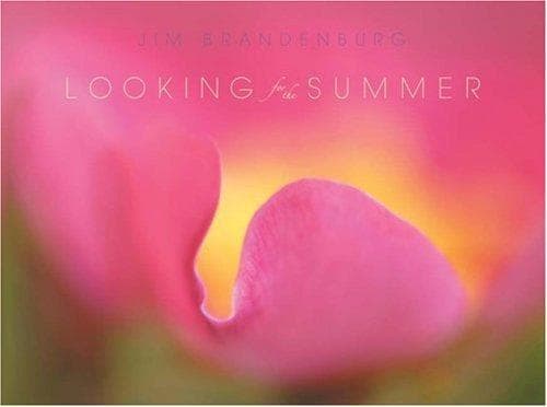 Cover image for Looking for the Summer