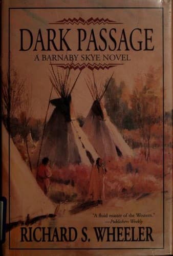 Cover image for Dark passage