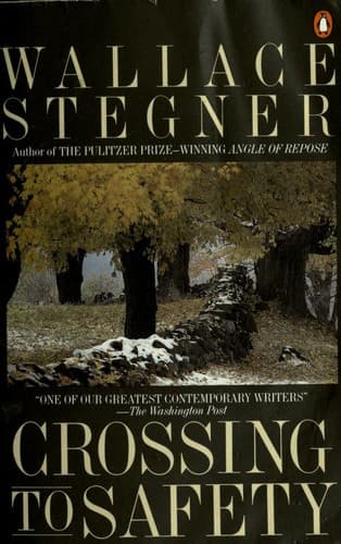 Cover image for Crossing to safety