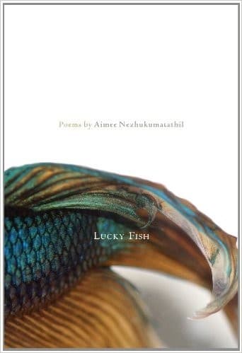 Cover image for Lucky fish