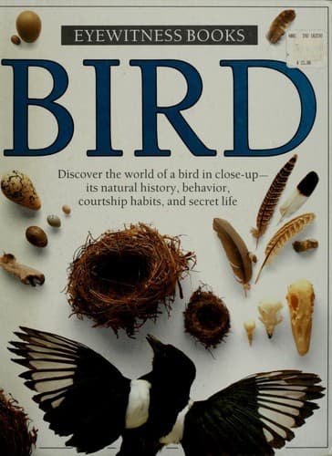 Cover image for Bird