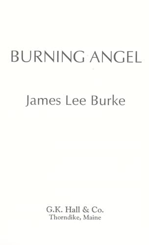 Cover image for Burning angel