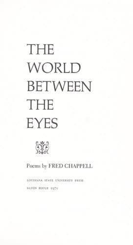 Cover image for The world between the eyes