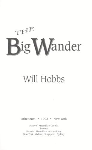 Cover image for The Big Wander