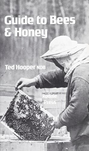 Cover image for Guide to bees & honey