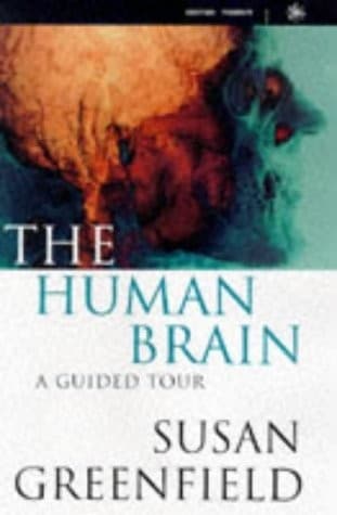 Cover image for The human brain