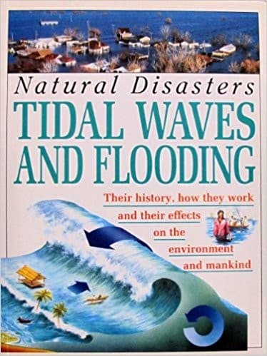 Cover image for Tidal waves and flooding