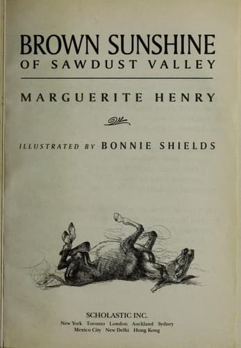 Cover image for Brown Sunshine of Sawdust Valley