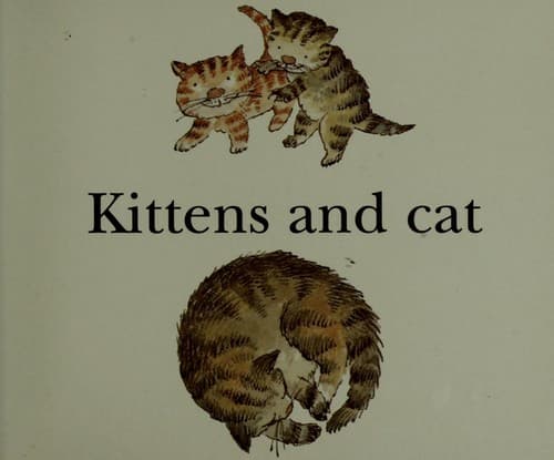Cover image for Doll and teddy