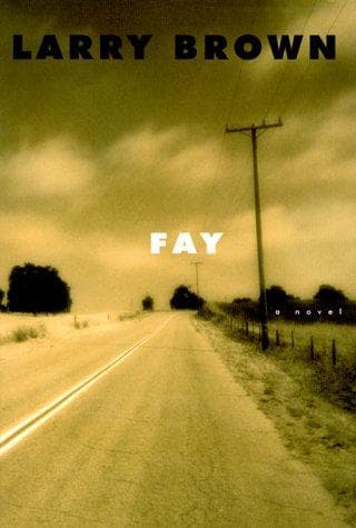 Cover image for Fay
