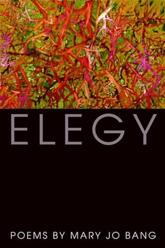 Cover image for Elegy