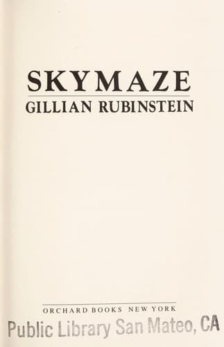 Cover image for Skymaze