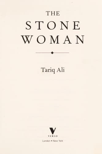 Cover image for The stone woman