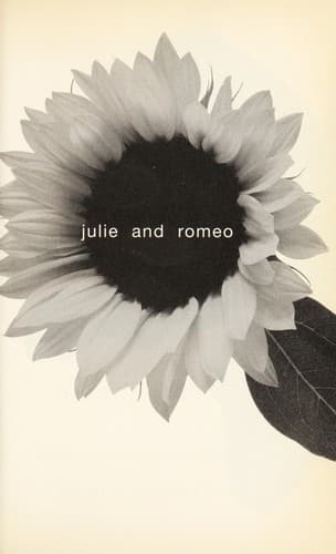 Cover image for Julie and Romeo