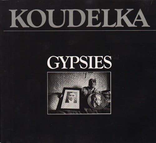 Cover image for Gypsies