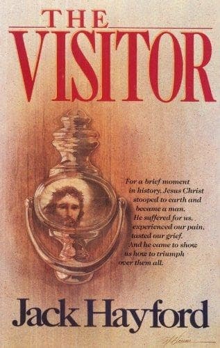 Cover image for The visitor
