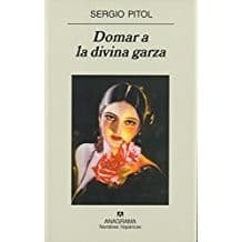 Cover image for Domar a la divina garza
