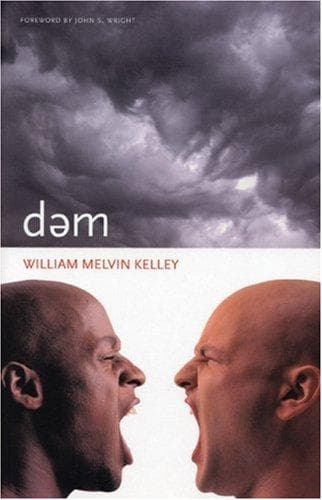 Cover image for Dem