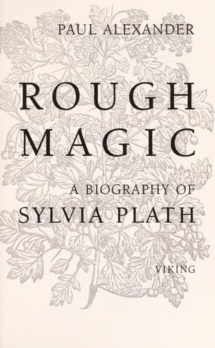 Cover image for Rough magic