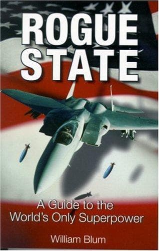 Cover image for Rogue State