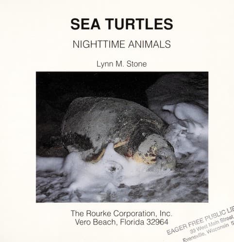 Cover image for Sea turtles