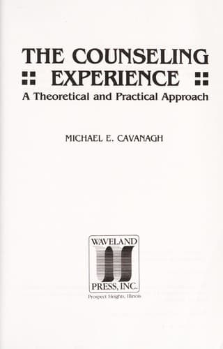 Cover image for The counseling experience