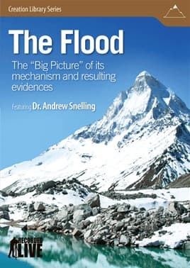 Cover image for The Flood