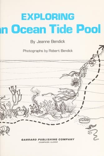 Cover image for Exploring an ocean tide pool