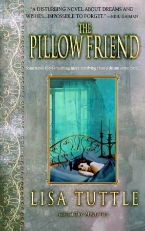 Cover image for The Pillow Friend