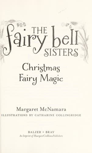 Cover image for Christmas fairy magic