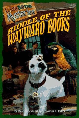 Cover image for Riddle of the wayward books