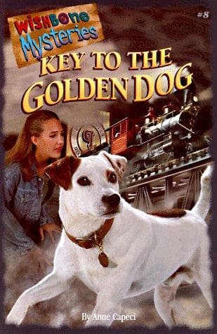 Cover image for Key to the golden dog