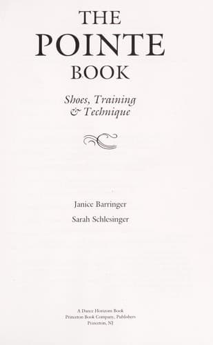 Cover image for The pointe book