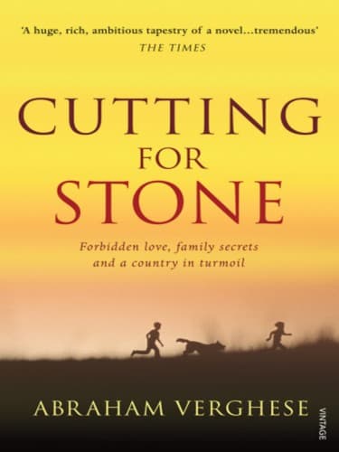 Cover image for Cutting for Stone