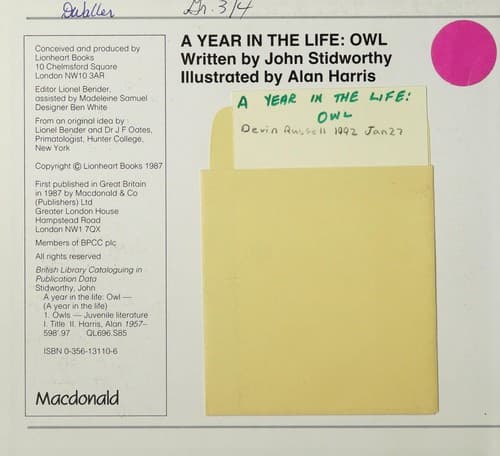 Cover image for Owl