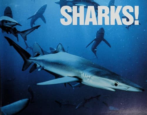 Cover image for Sharks!