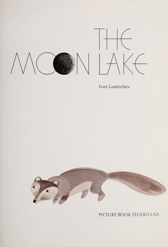 Cover image for The moon lake