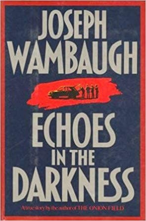 Cover image for Echoes in the darkness