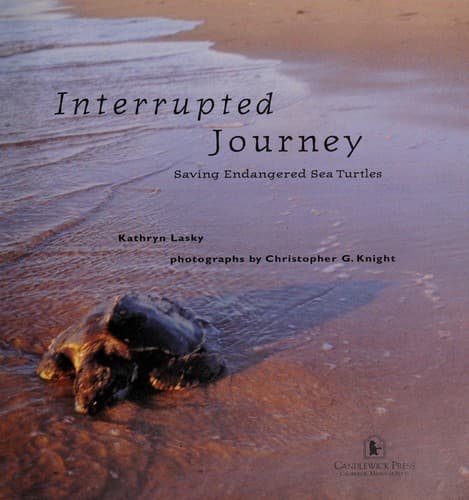 Cover image for Interrupted journey