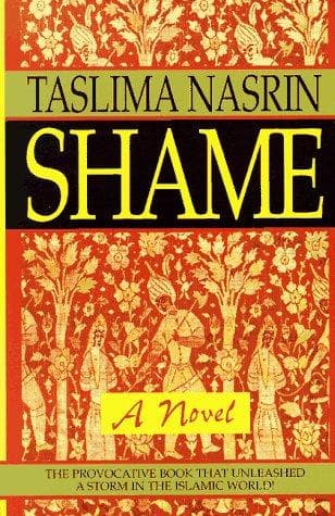 Cover image for Shame