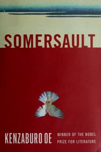 Cover image for Somersault