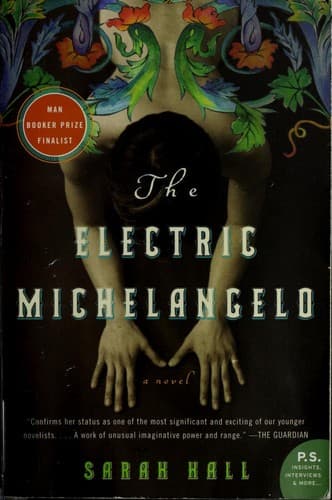 Cover image for The electric Michelangelo
