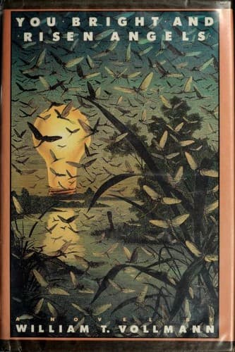 Cover image for You bright and risen angels
