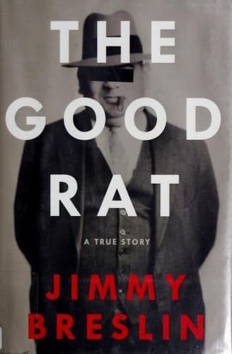 Cover image for The Good Rat