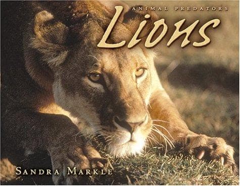 Cover image for Lions (Animal Predators)