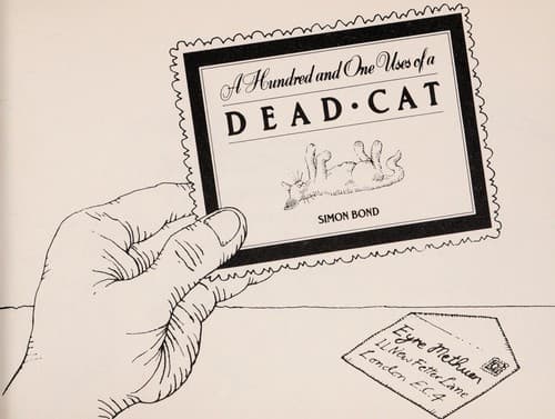 Cover image for A Hundred and One Uses of a Dead Cat