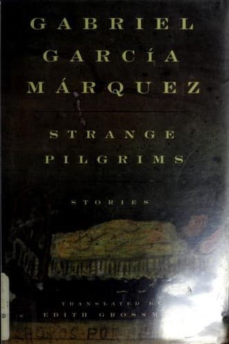 Cover image for Strange pilgrims